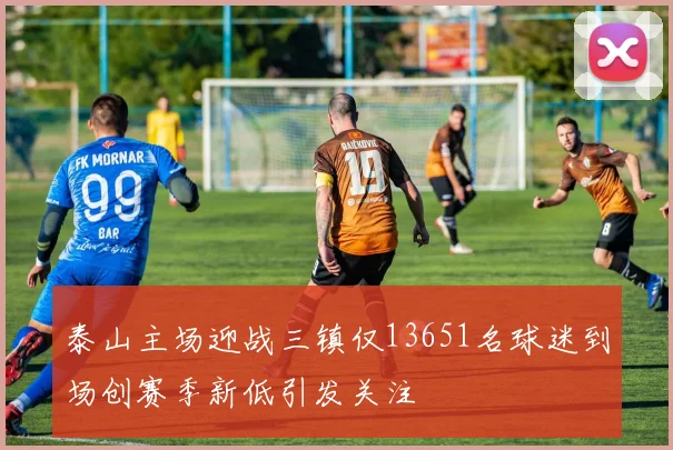 泰山主场迎战三镇仅13651名球迷到场创赛季新低引发关注