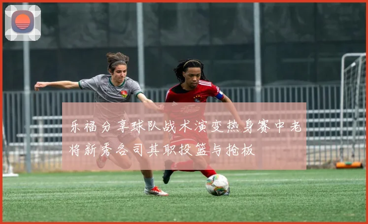 乐福分享球队战术演变热身赛中老将新秀各司其职投篮与抢板